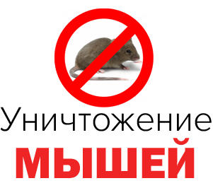 эффективное уничтожение мышей